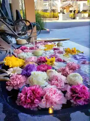 駒込妙義神社(東京都)