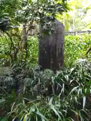 秩父御嶽神社(埼玉県)