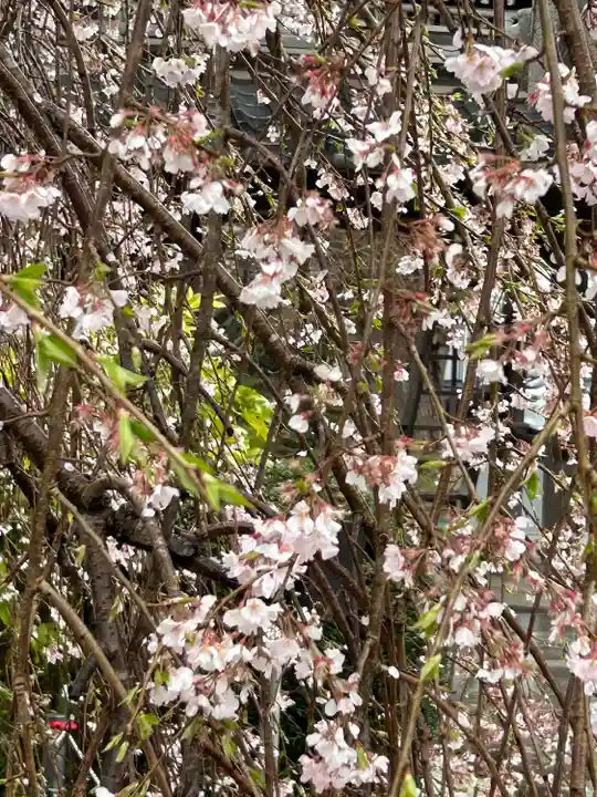 阿弥陀寺のその他建物