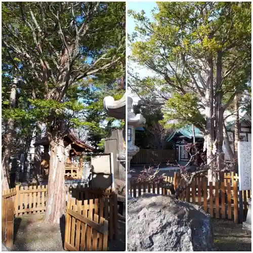 刈田神社の自然