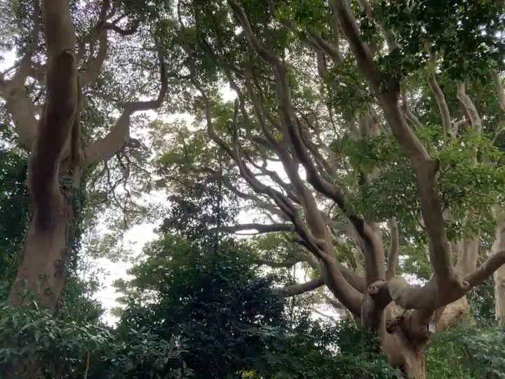 酒列磯前神社(茨城県)