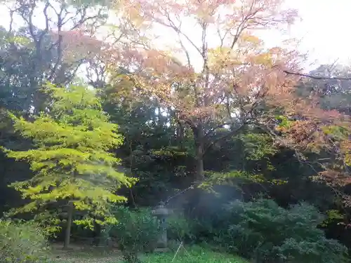 安國論寺（安国論寺）の自然