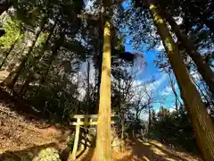 子檀嶺神社(長野県)