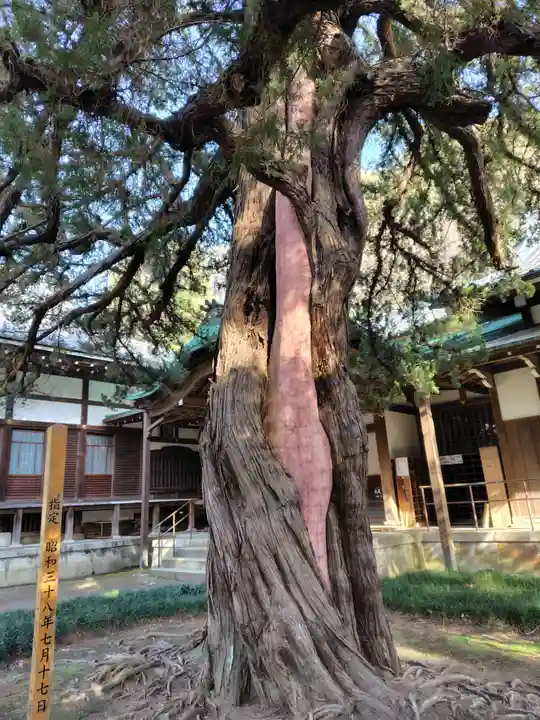 円覚寺(神奈川県)