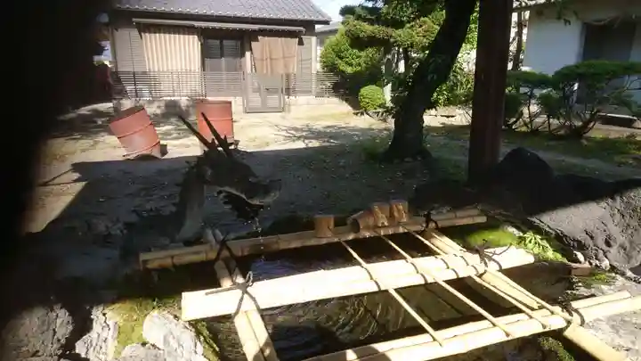 金刀比羅神社 尾張分社の手水舎