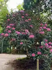 西照神社(徳島県)