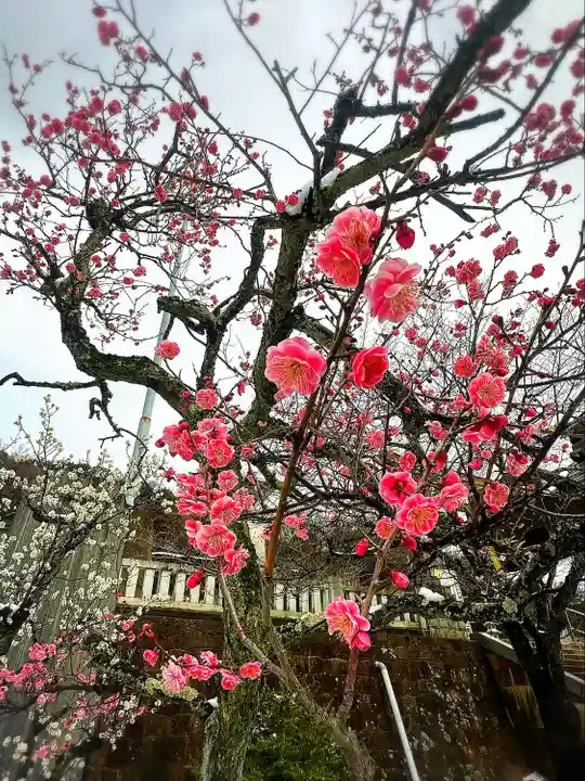 福島縣護國神社(福島県)