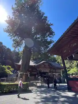 北口本宮冨士浅間神社の本殿・本堂