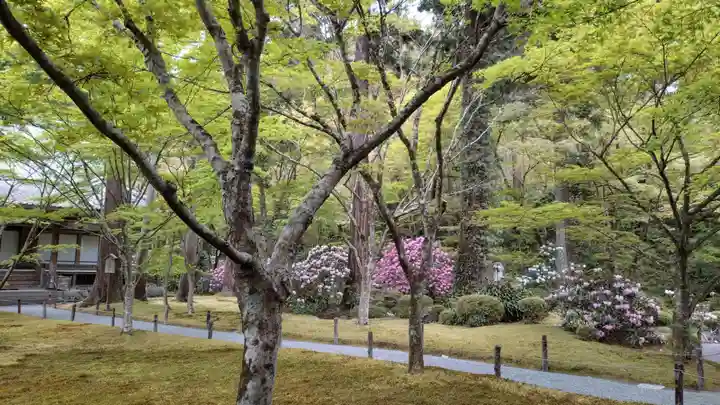 三千院門跡(京都府)