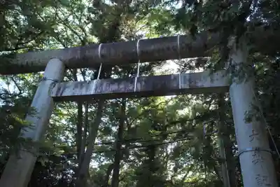 常陸國總社宮の鳥居