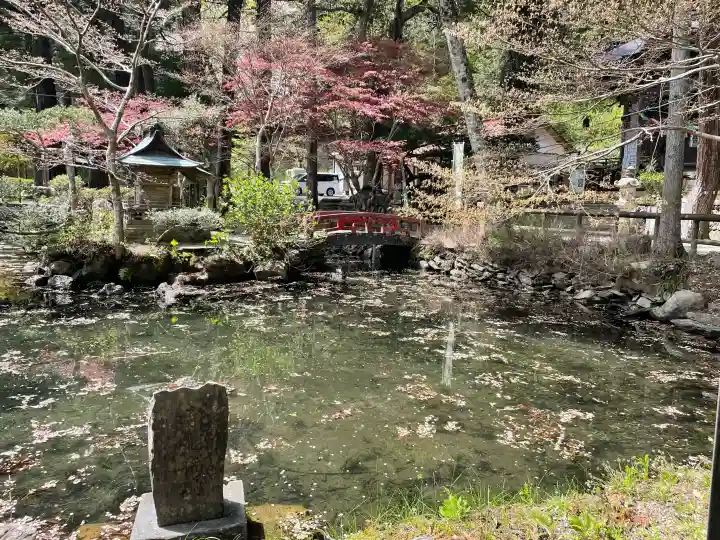 横山不動尊の{uncategorized: "未分類", other: "その他", undefined: "問題あり", building: "その他建物", grave: "お墓", sacred_gate: "鳥居", guardian: "狛犬", statue: "像", buddha: "仏像", history: "歴史", nature: "自然", garden: "庭園", animal: "動物", pagoda: "塔", temizu: "手水舎", mountain_gate: "山門・神門", sanctuary: "本殿・本堂", subordinate: "末社・摂社", art: "芸術", scenery: "景色", jizo: "地蔵", ema: "絵馬", goshuin: "御朱印", omikuji: "おみくじ", items: "授与品その他", amulet: "お守り", goshuincho: "御朱印帳", eats: "食事", festival: "お祭り", votive_dance: "神楽", shichigosan: "七五三参", wedding: "結婚式", experience: "体験その他", initially: "初詣", around: "周辺", anti_infection: "感染症対策"}