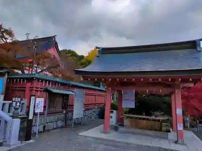 津島神社の手水舎
