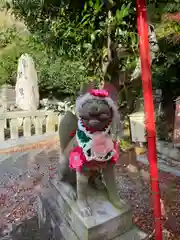 淡島神社(福岡県)