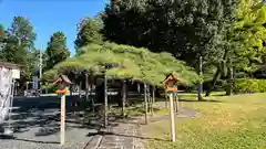 月岡神社(山形県)