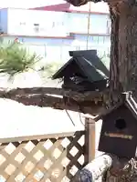 厚別神社(北海道)