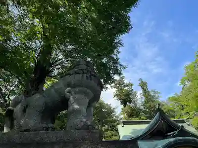 一言主神社(茨城県)