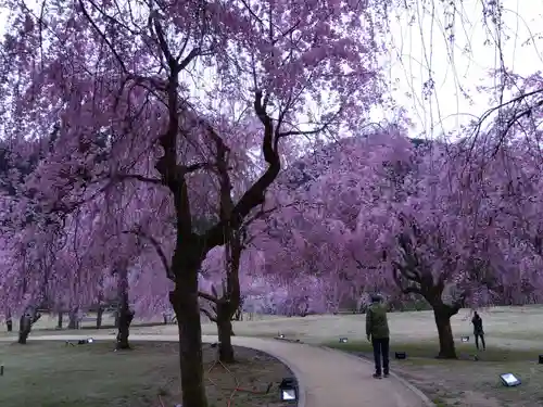 日吉神社(福井県)