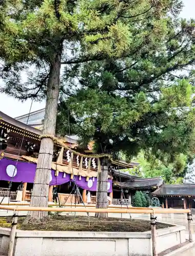 寒川神社(神奈川県)