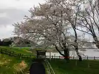 水神神社の自然