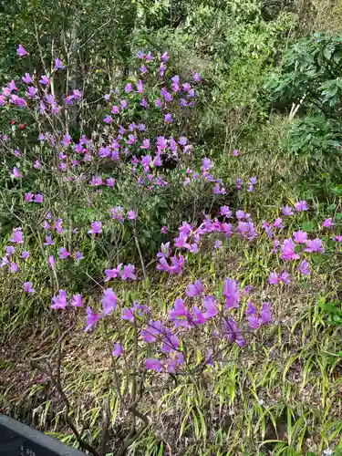 妙本寺(神奈川県)