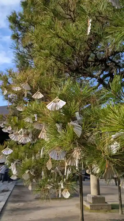 智恩寺(京都府)