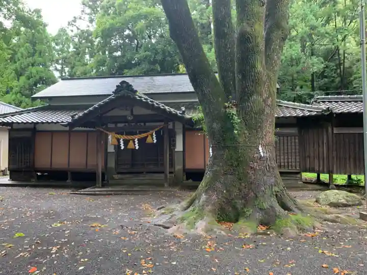 大草神社の本殿・本堂