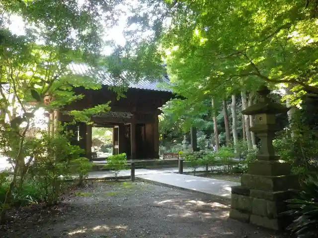 妙本寺の山門・神門