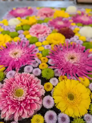 高円寺氷川神社(東京都)