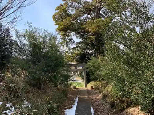 諏訪神社の鳥居