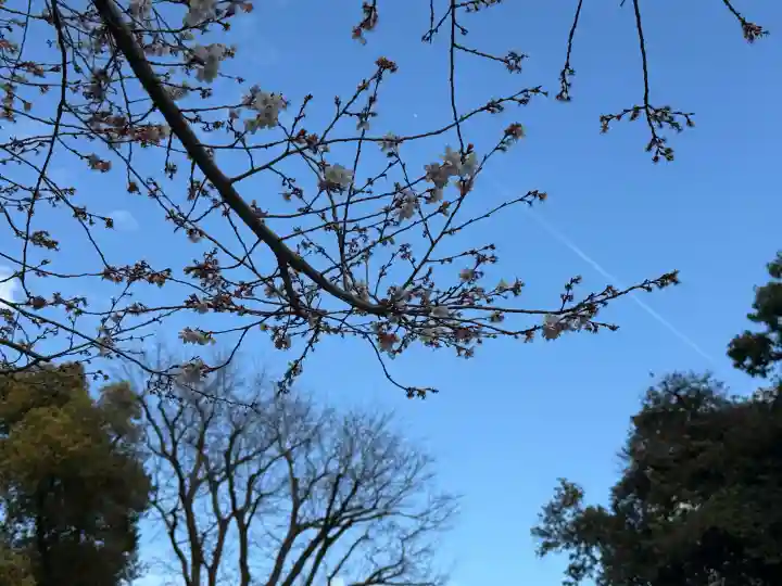 熱田神宮の{uncategorized: "未分類", other: "その他", undefined: "問題あり", building: "その他建物", grave: "お墓", sacred_gate: "鳥居", guardian: "狛犬", statue: "像", buddha: "仏像", history: "歴史", nature: "自然", garden: "庭園", animal: "動物", pagoda: "塔", temizu: "手水舎", mountain_gate: "山門・神門", sanctuary: "本殿・本堂", subordinate: "末社・摂社", art: "芸術", scenery: "景色", jizo: "地蔵", ema: "絵馬", goshuin: "御朱印", omikuji: "おみくじ", items: "授与品その他", amulet: "お守り", goshuincho: "御朱印帳", eats: "食事", festival: "お祭り", votive_dance: "神楽", shichigosan: "七五三参", wedding: "結婚式", experience: "体験その他", initially: "初詣", around: "周辺", anti_infection: "感染症対策"}