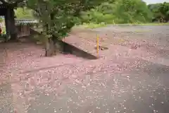 宗悟寺(埼玉県)