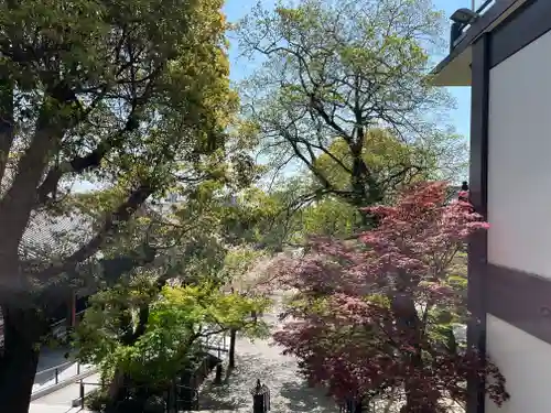 福祥寺（須磨寺）の景色