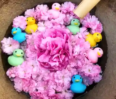 真言宗　善通寺派　薬王寺の手水舎