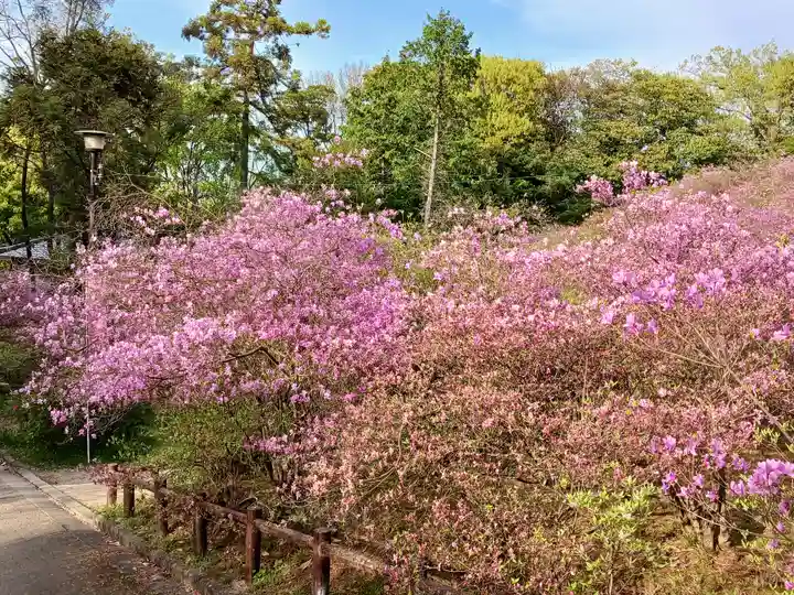 廣田神社(兵庫県)
