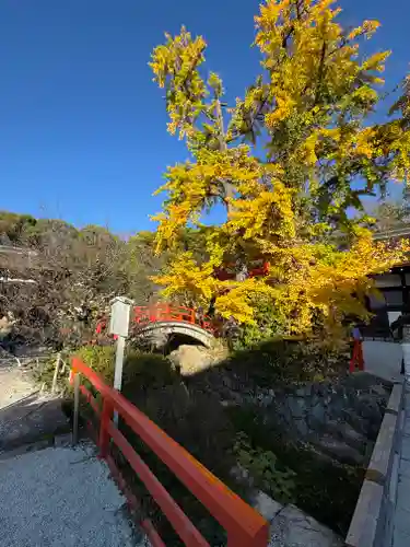 賀茂御祖神社（下鴨神社）(京都府)