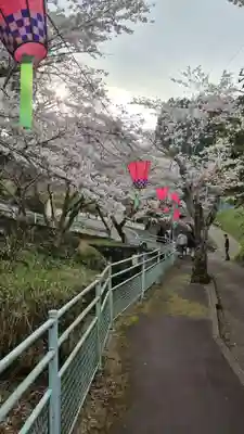 長谷寺(神奈川県)