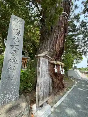 大國魂神社の自然