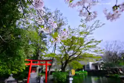 富士山本宮浅間大社(静岡県)
