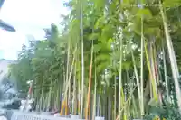 不知森神社(千葉県)