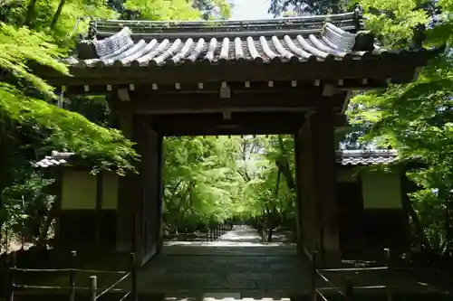 光明寺（粟生光明寺）(京都府)