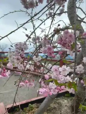 多摩川浅間神社(東京都)