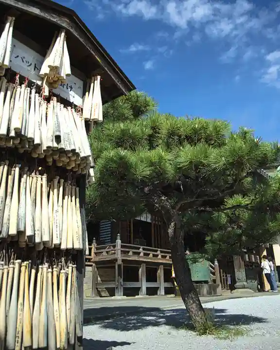 箭弓稲荷神社(埼玉県)