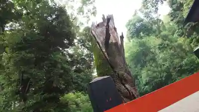 賀茂御祖神社（下鴨神社）のその他建物