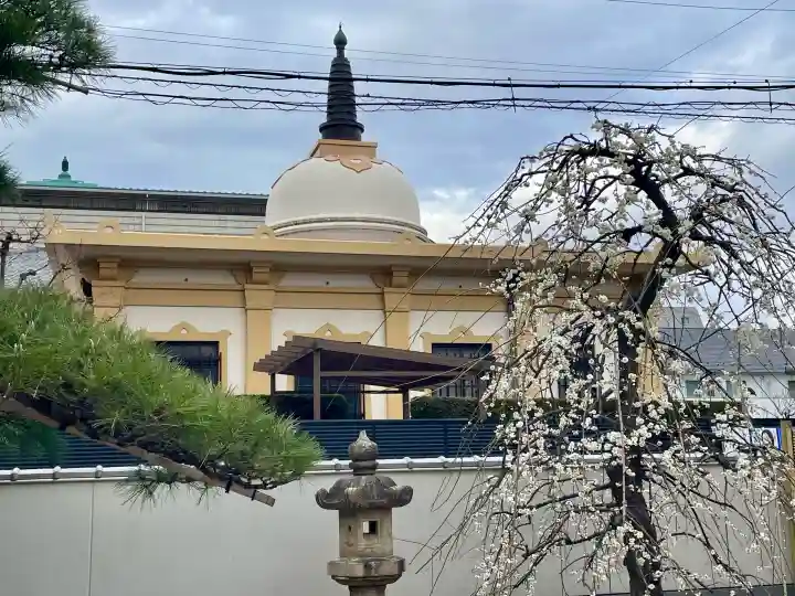 専西寺の{uncategorized: "未分類", other: "その他", undefined: "問題あり", building: "その他建物", grave: "お墓", sacred_gate: "鳥居", guardian: "狛犬", statue: "像", buddha: "仏像", history: "歴史", nature: "自然", garden: "庭園", animal: "動物", pagoda: "塔", temizu: "手水舎", mountain_gate: "山門・神門", sanctuary: "本殿・本堂", subordinate: "末社・摂社", art: "芸術", scenery: "景色", jizo: "地蔵", ema: "絵馬", goshuin: "御朱印", omikuji: "おみくじ", items: "授与品その他", amulet: "お守り", goshuincho: "御朱印帳", eats: "食事", festival: "お祭り", votive_dance: "神楽", shichigosan: "七五三参", wedding: "結婚式", experience: "体験その他", initially: "初詣", around: "周辺", anti_infection: "感染症対策"}