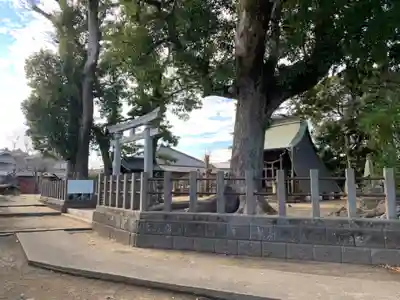 諏訪大神(千葉県)