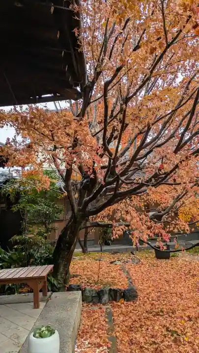 勝林寺(京都府)