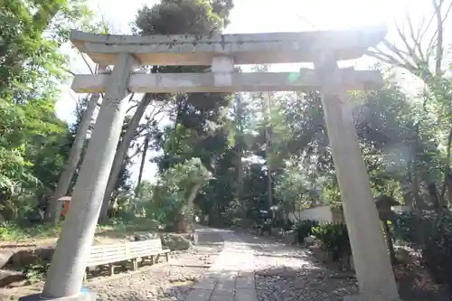 代々木八幡宮の鳥居