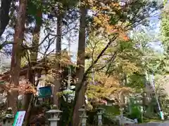 華厳寺の建物その他