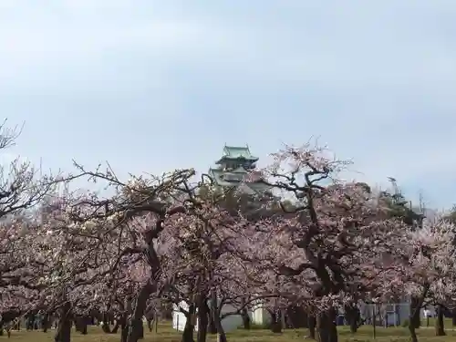 豊國神社の自然