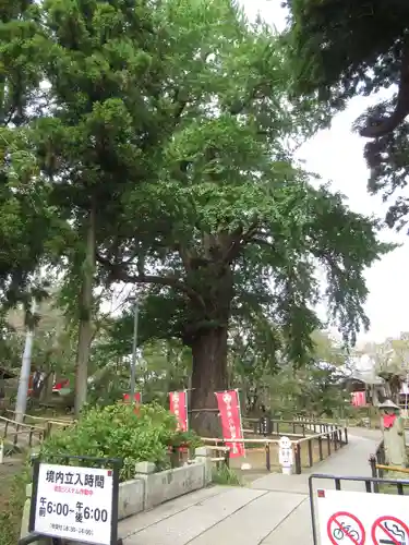 六地蔵寺(茨城県)